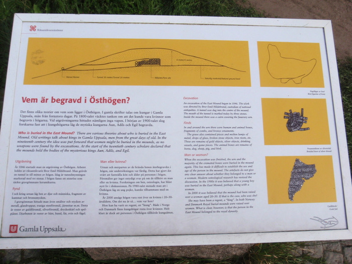 An excavation report.